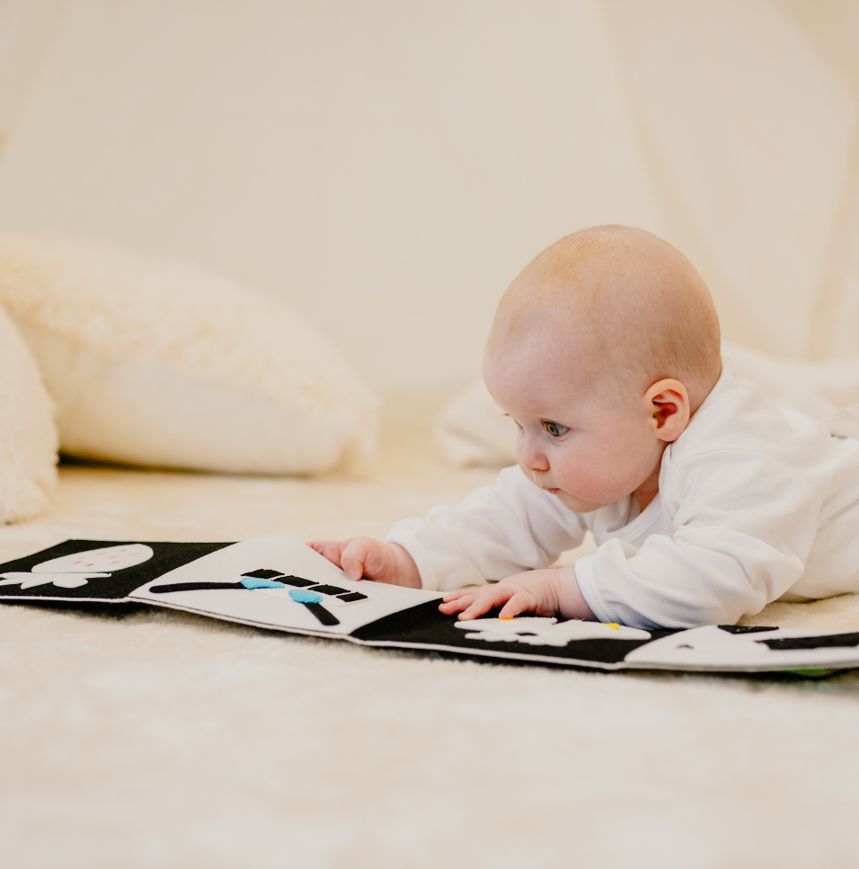 Baby Entwicklung 0–6 Monate